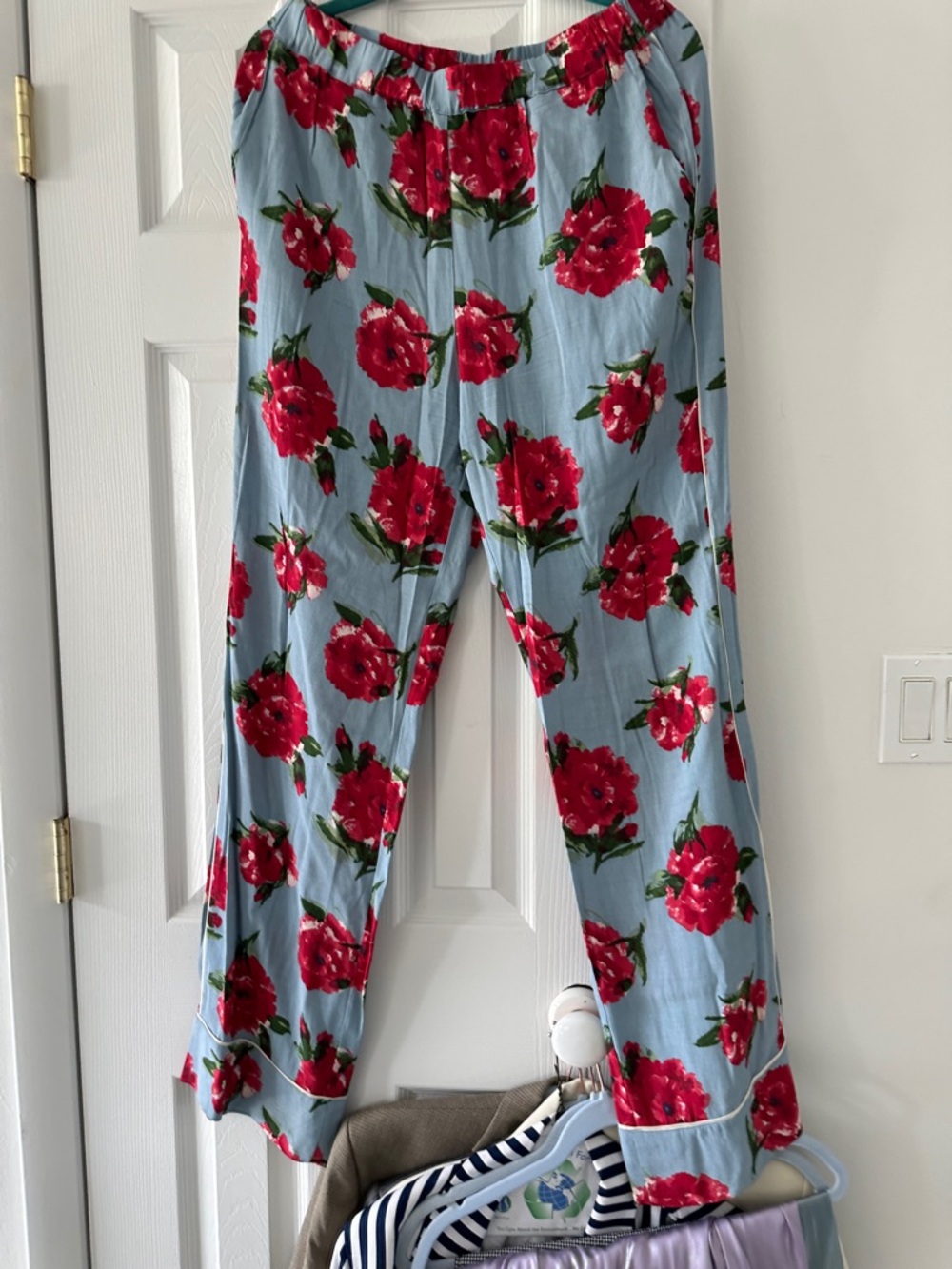 POL Floral Wide-Leg Pants in Light Blue with Red Flowers